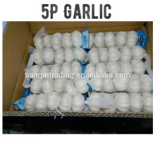 export high top quality small packing 5P Chinese Fresh Garlic product normal white